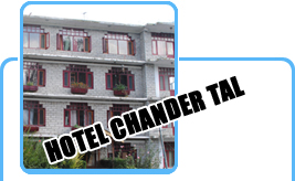 manali hotel angel