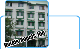 manali hotel angel