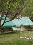 camping packages manali