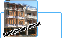 hotel century gangri manali